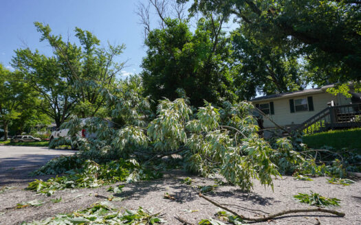 Storms bring rain, wind damage, water rescues to Lawrence area